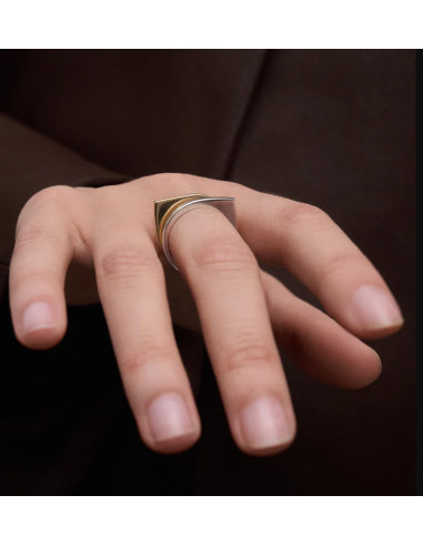 Anillo de plata Oda PDPAOLA...