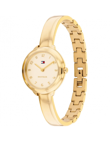 Reloj Tommy Hilfiger 1782895