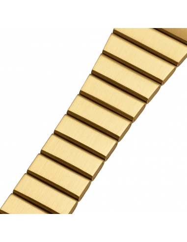 Casio Vintage Mini clásico dorado...