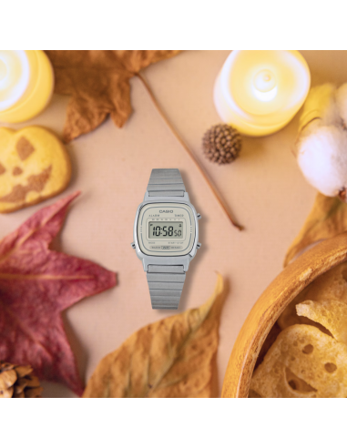 Casio Vintage Mini clásico color...