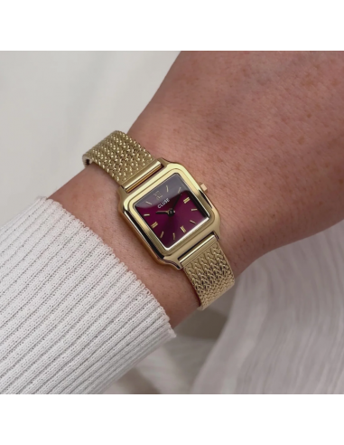 Reloj CLUSE Gracieuse Mini Watch...