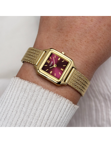 Reloj CLUSE Gracieuse Mini Watch...