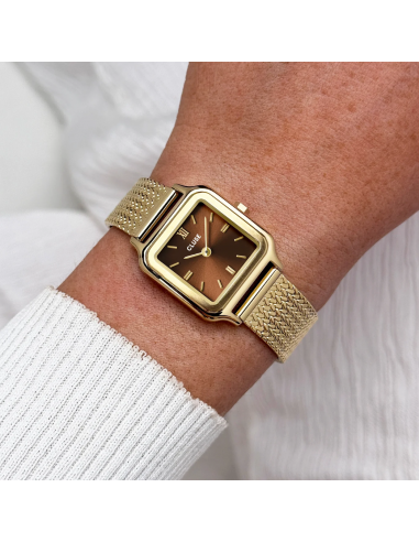 Reloj CLUSE Gracieuse Petite Watch...