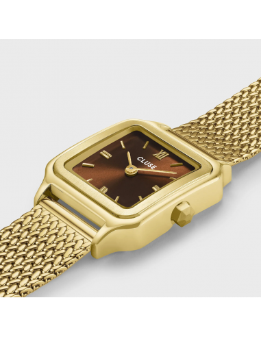 Reloj CLUSE Gracieuse Petite Watch...