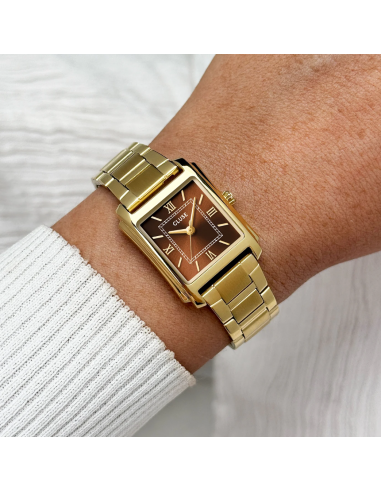 Reloj CLUSE Anglée Watch Steel,...