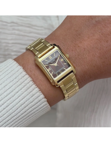 Reloj CLUSE Anglée Watch Steel,...