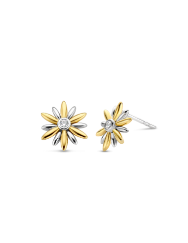 Joyería Verín. Pendientes de plata estrellas
