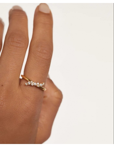 Anillo Natura de PDPAOLA