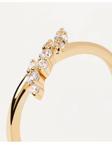 Anillo Natura de PDPAOLA