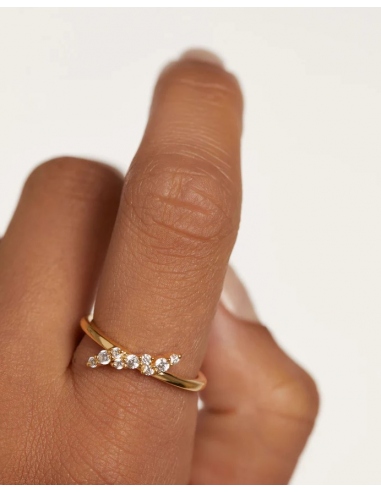 Anillo Natura de PDPAOLA