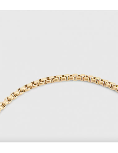 Collar de eslabones dorado Tommy...