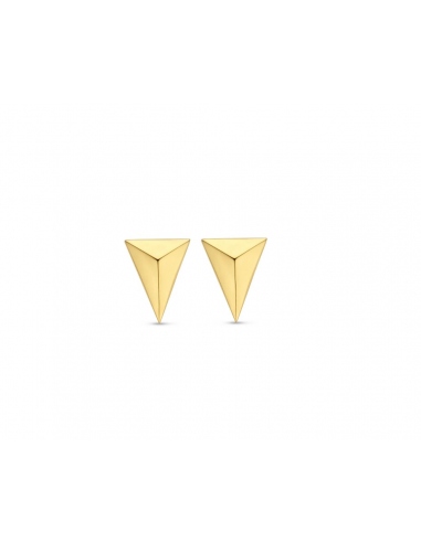 TI SENTO - Milano Earrings 7898SY