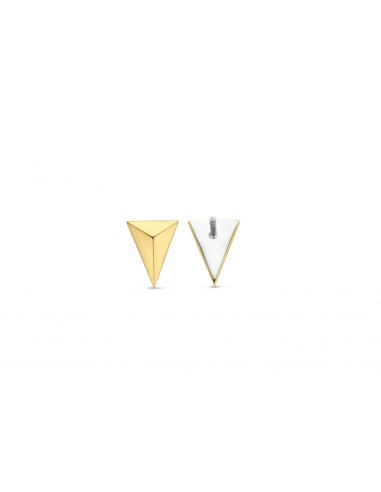TI SENTO - Milano Earrings 7898SY