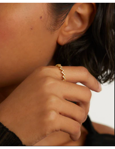 Anillo The Zipper de PDPAOLA Talla 14