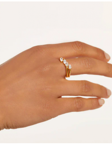 Anillo Terra de PDPAOLA