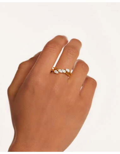 Anillo Terra de PDPAOLA