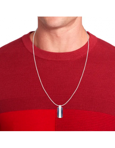 Colgante Tommy Hilfiger 2790599