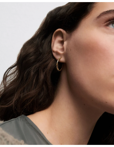 Aros Lotus de PDPAOLA