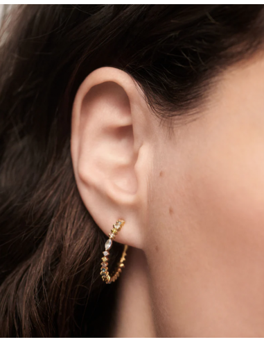 Aros Lotus de PDPAOLA