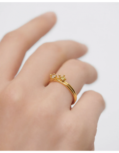 Set de anillos Les Fleurs talla 12 de...